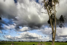 500官方彩票网安全吗？靠谱吗？