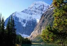 中国最新体育动态有哪些亮点？